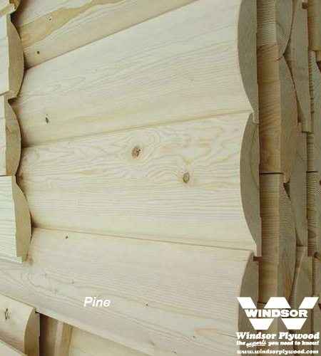 Log Cabin Siding