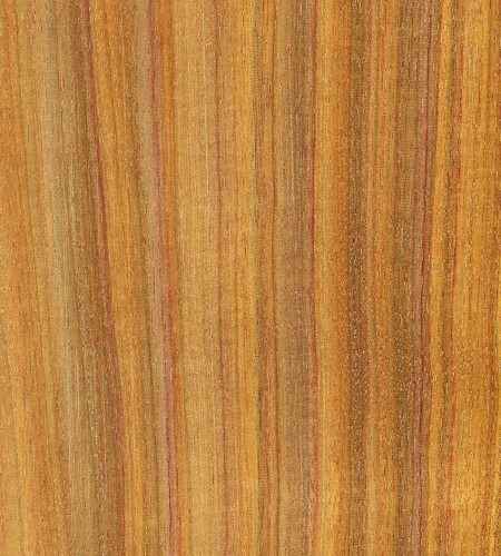 Canarywood Hardwood Lumber