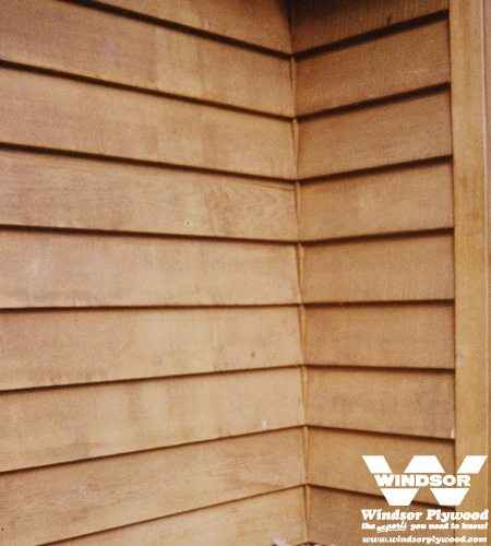 Cedar Bevel Siding