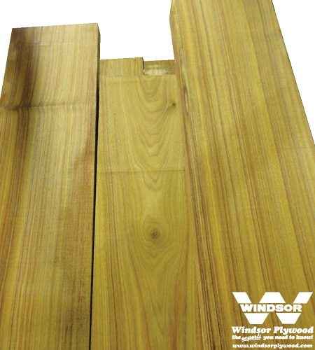 Canarywood Hardwood Lumber