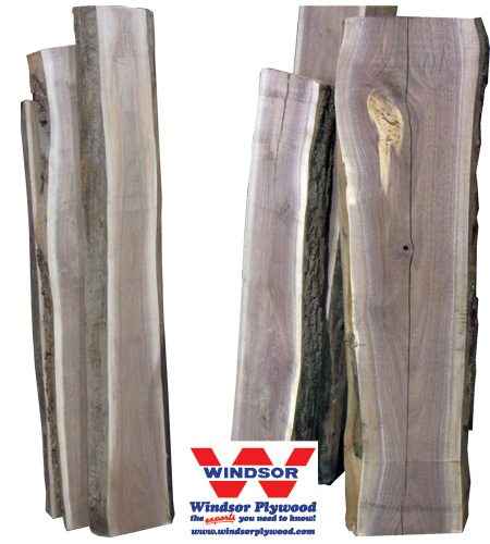 Walnut Live Edge Lumber