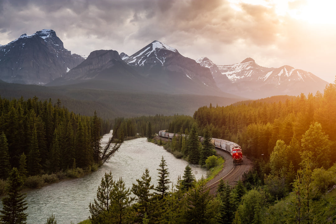 Strong Roots: Why Buying Canadian Lumber Supports Local Forests and Communities