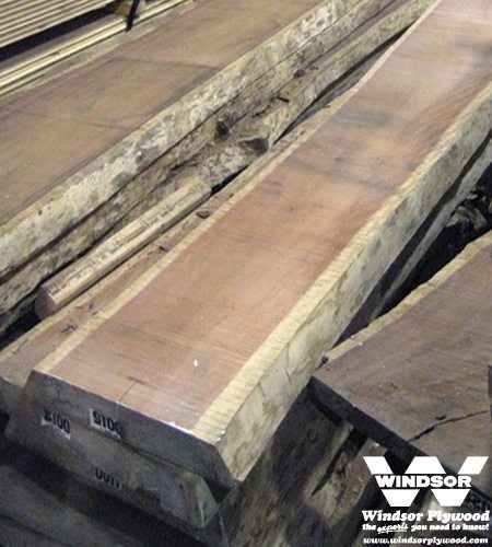 Balsamo Live Edge