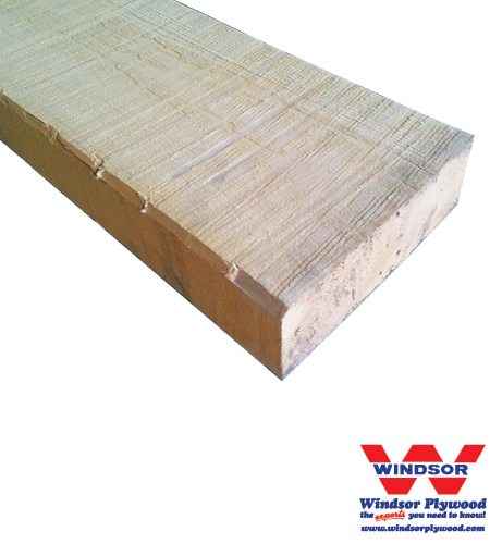 Basswood Hardwood Lumber