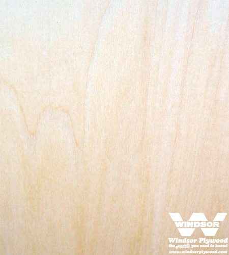 Basswood Hardwood Lumber