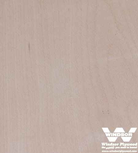 Beech Hardwood Lumber