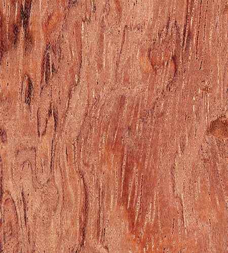 Bubinga Hardwood Lumber