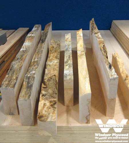 Maple Live Edge Lumber