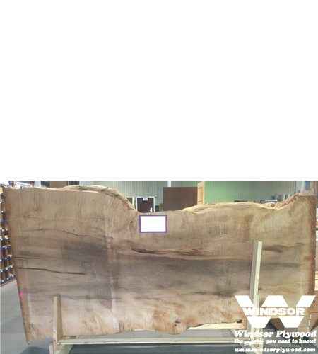 Maple Live Edge Lumber