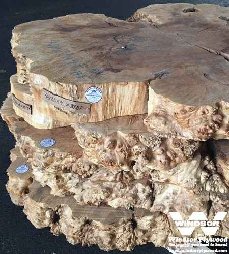 Maple Live Edge Lumber