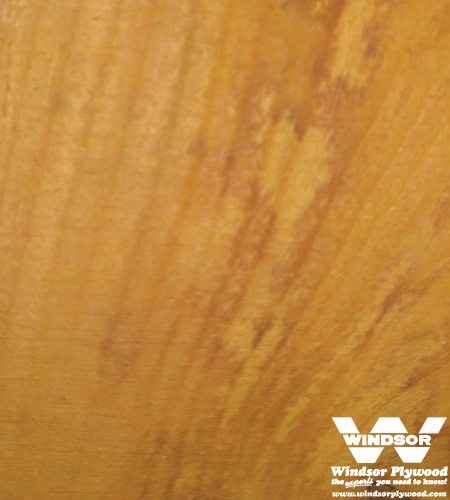 osage orange wood grain closeup