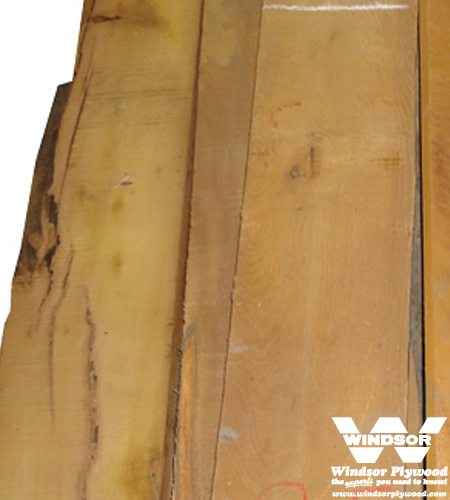 Osage Orange Hardwood Lumber