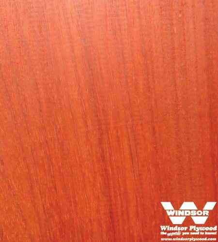 Padauk Hardwood Lumber