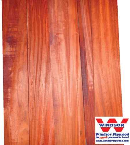 Padauk Hardwood Lumber