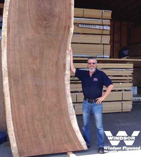 Parota Live Edge Lumber