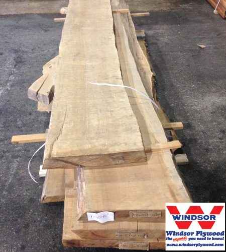 Sapele Live Edge
