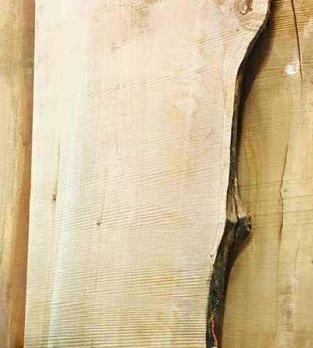 Birch Live Edge Lumber