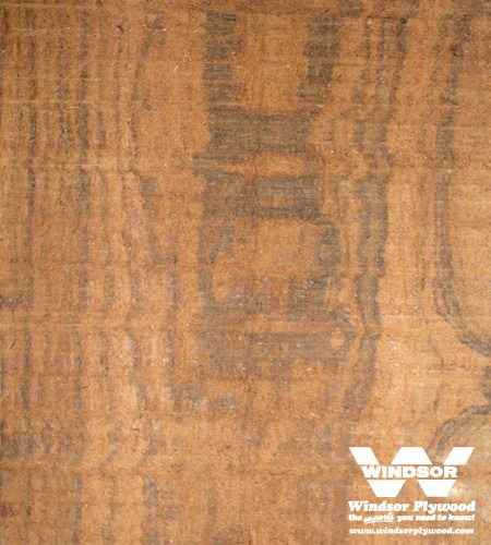 Bocote Hardwood Lumber