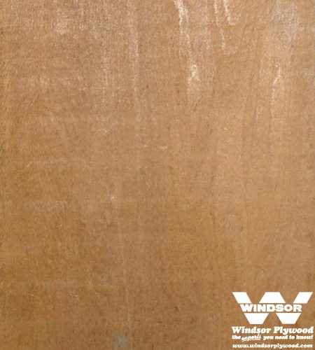 Butternut Hardwood Lumber