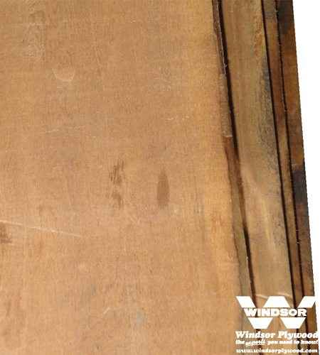 Butternut Hardwood Lumber
