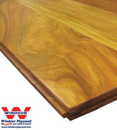 Canarywood Hardwood Lumber