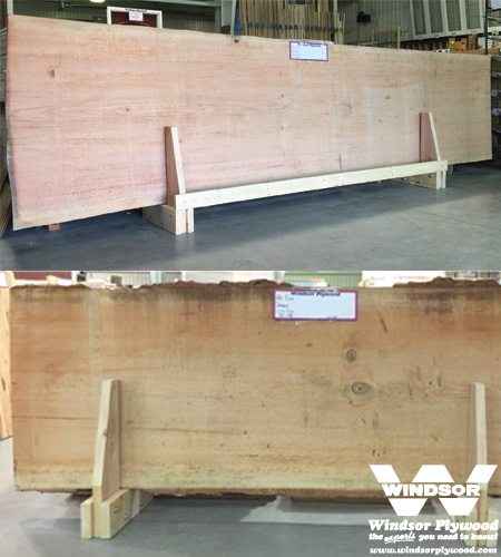 Fir Live Edge