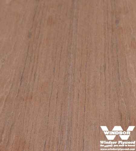 Jatoba Hardwood Lumber