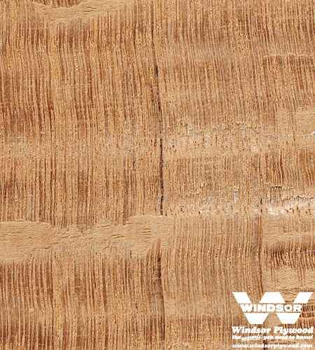 Lacewood Hardwood Lumber