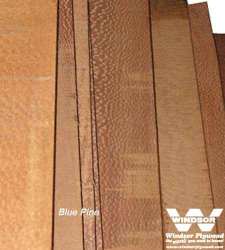 Lacewood Hardwood Lumber