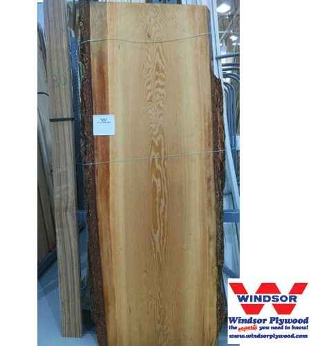 Fir Live Edge