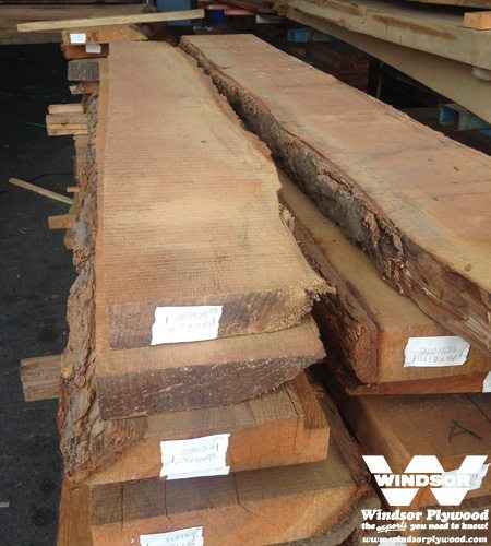 Fir Live Edge
