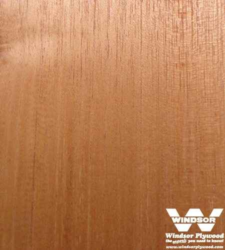 Spanish Cedar Lumber